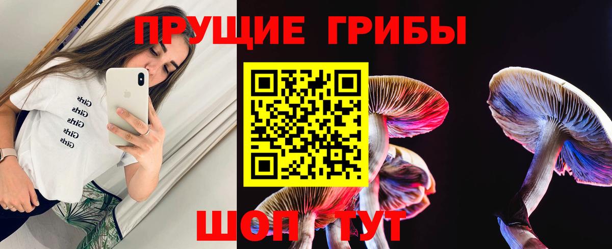 Галлюциногенные грибы Psilocybine cubensis  Вход с VPN  Жуковский 